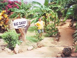 1995