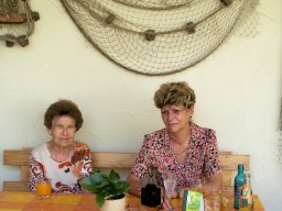 2006